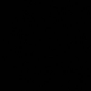 Meet your Posher, Vince